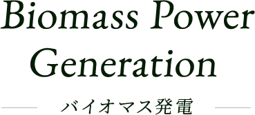 biomass power generation バイオマス発電