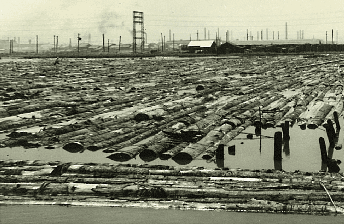 名古屋港木材倉庫の歴史HISTORY幾多の困難を乗り越え、時代のニーズに挑戦